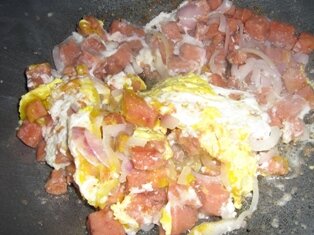 Scrambled 2 eggs with garlic and onions.