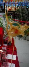 Candy blowing commonly theme, the 12 chinese zodiac signs or animals Candy blowing commonly theme, the 12 chinese zodiac signs or animals