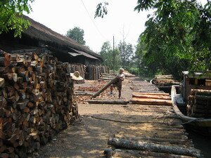 Unloading log at Kuala Sepetang Charcoal Factory Taiping Unloading log at Kuala Sepetang Charcoal Factory Taiping