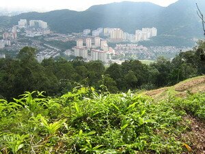 View of Central Penang from one thousand two hundred steps temple View of Central Penang from one thousand two hundred steps temple