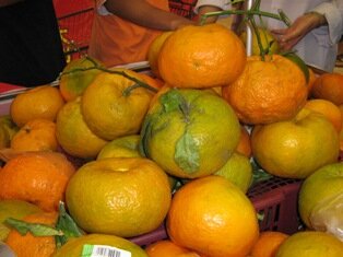 Tangerines with leaves intact Tangerines with leaves intact