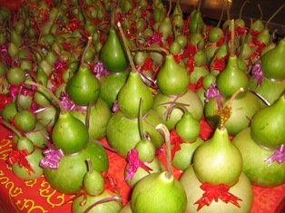 Hor Lor Pu or Bottle Gourd Hor Lor Pu or Bottle Gourd