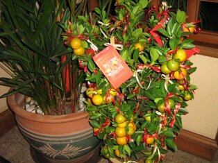 Golden Keat lar decorated with red ribbon and red packet, a must have for business and family homes Golden Keat lar decorated with red ribbon and red packet, a must have for business and family homes