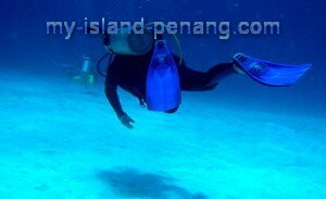 Diving in Pulau Payar, Malaysia Diving in Pulau Payar, Malaysia