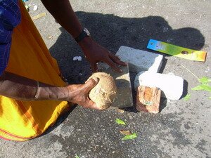 Breaking coconut in Thaipusam Penang Breaking coconut in Thaipusam Penang