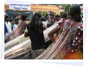 Thaipusam Festivals Thaipusam Festivals