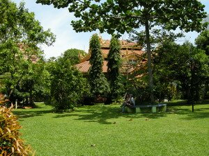 Garden in Penang Burmese Temple Garden in Penang Burmese Temple