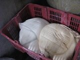 Wet rice left to dry out the water for Kuih Kapit