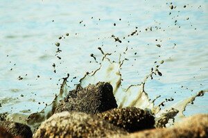 Waves splash Waves splash