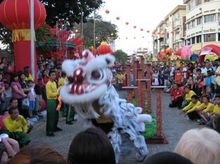 Happy Northern Lion Happy Northern Lion