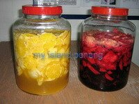 Grapes Enzymes Grapes Enzymes