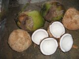 Not too old coconuts for Nyonya Kuih Not too old coconuts for Nyonya Kuih