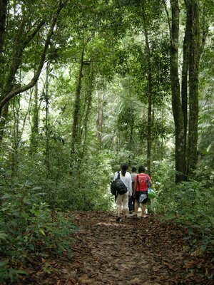 Hikers in Pantai Kerachut Hikers in Pantai Kerachut