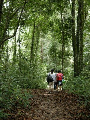 Hikers in Pantai Kerachut