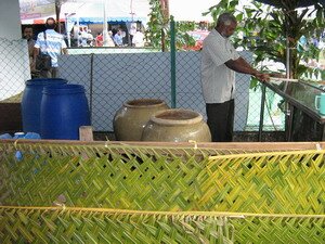 preparing water panthals thaipusam penang preparing water panthals thaipusam penang