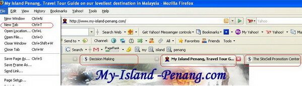 Penang Website Tools, Firefox Toolbar