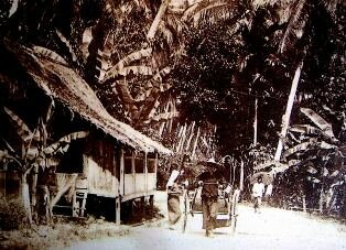 Early Pulau Kesatu Kampong Land of the Betel Nut Early Pulau Kesatu Kampong Land of the Betel Nut