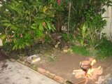 Go to make the fire on your own garden Go to make the fire on your own garden