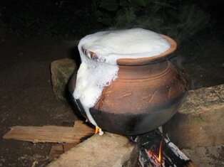 As the milk overflows, we shrieks and shout 'pongale oh pongale' As the milk overflows, we shrieks and shout 'pongale oh pongale'