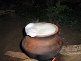 We watched as they milk overflows during Ponggal We watched as they milk overflows during Ponggal