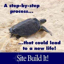 SBI! CTPM Process SBI! CTPM Process