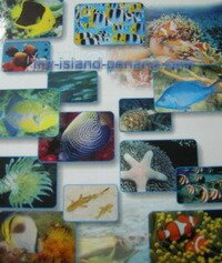 Marine Life in Pulau Payar Langkawi Malaysia Marine Life in Pulau Payar Langkawi Malaysia