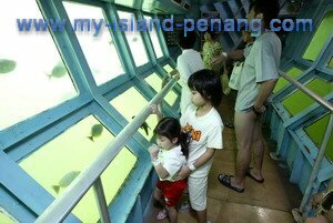 Underwater observation Chamber in Pulau Payar Underwater observation Chamber in Pulau Payar