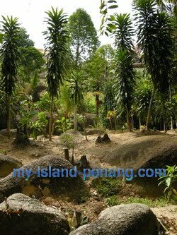 Seven Sisters Shrine Air itam Penang Seven Sisters Shrine Air itam Penang