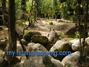 Seven Sisters Shrine Air Itam