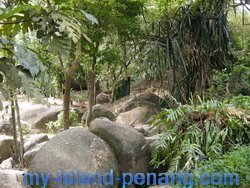 Playing fields of Seven Sisters in Penang