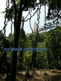 Kek Lok Si from Kramat Tujuh Beradik Penang Kek Lok Si from Kramat Tujuh Beradik Penang