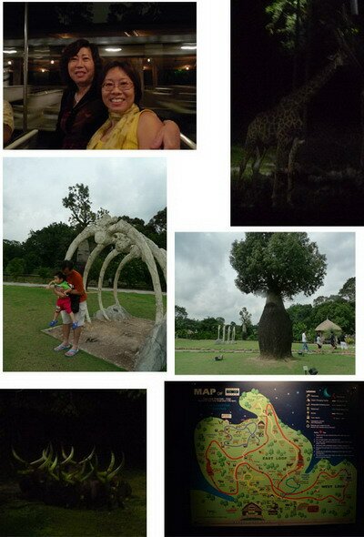 Exploring Nite Safari Singapore Exploring Nite Safari Singapore