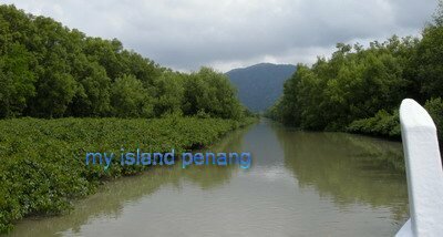 Sungai Pinang Mangrove Sungai Pinang Mangrove