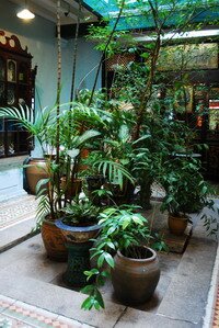 Inner courtyard at 120 Armenian Street Inner courtyard at 120 Armenian Street