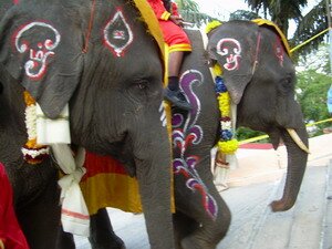 elephant with spear making the first step up waterfall temple