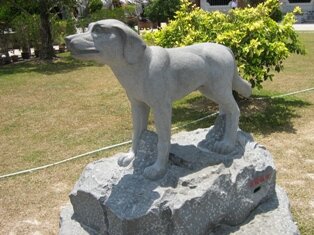Chinese 
Almanac Dog