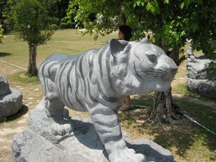 Chinese almanac 
  tiger