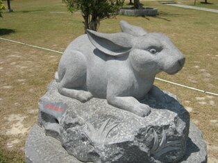 Chinese Alamanac 
Rabbit