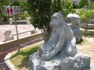 Chinese 
  almanac monkey