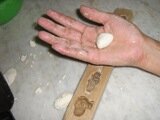 Wooden Mold for bangkit