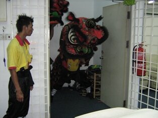 Lions coming up the LTC office 