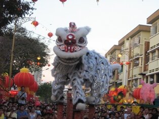 The playful Northern Lion in Penang